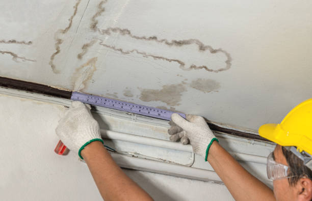 Reliable Flood Cleanup contractor in Big Creek, CA by Water Damage Irwin